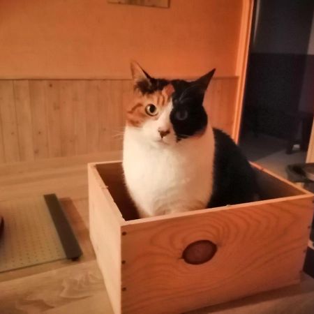 Grande Chambre D'Hote Proche Disneyland Et Parc Des Felins Guérard Kültér fotó